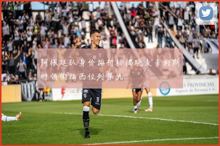 阿根廷队身价排行榜揭晓麦卡利斯特领衔梅西位列第九